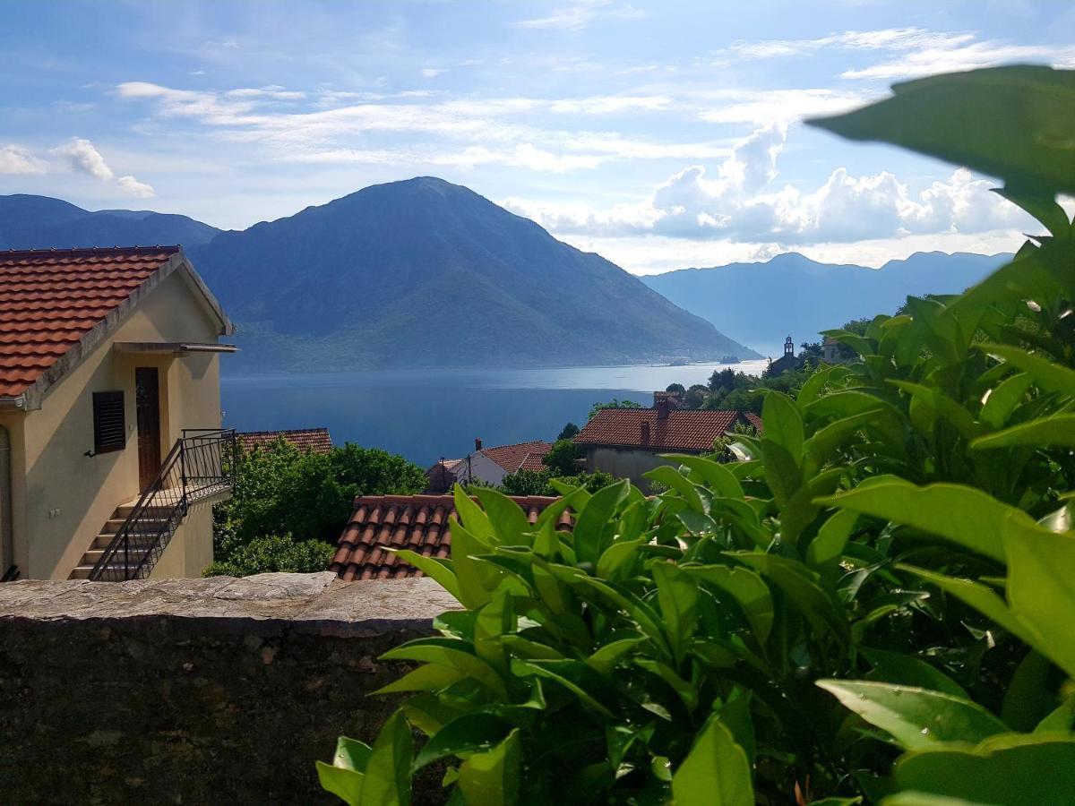 Guest House Maza Kotor Exteriér fotografie