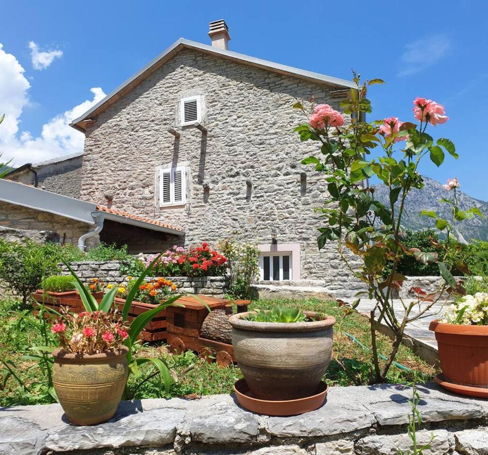 Guest House Maza Kotor Exteriér fotografie