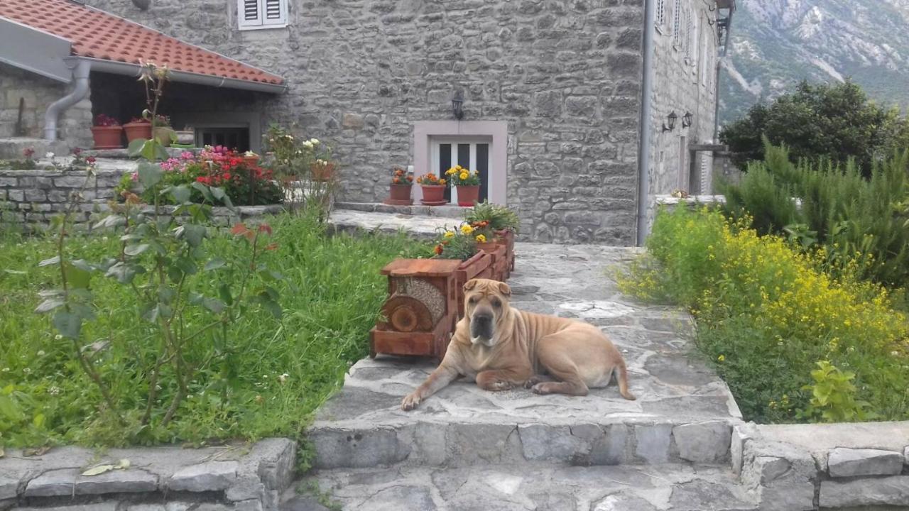 Guest House Maza Kotor Exteriér fotografie