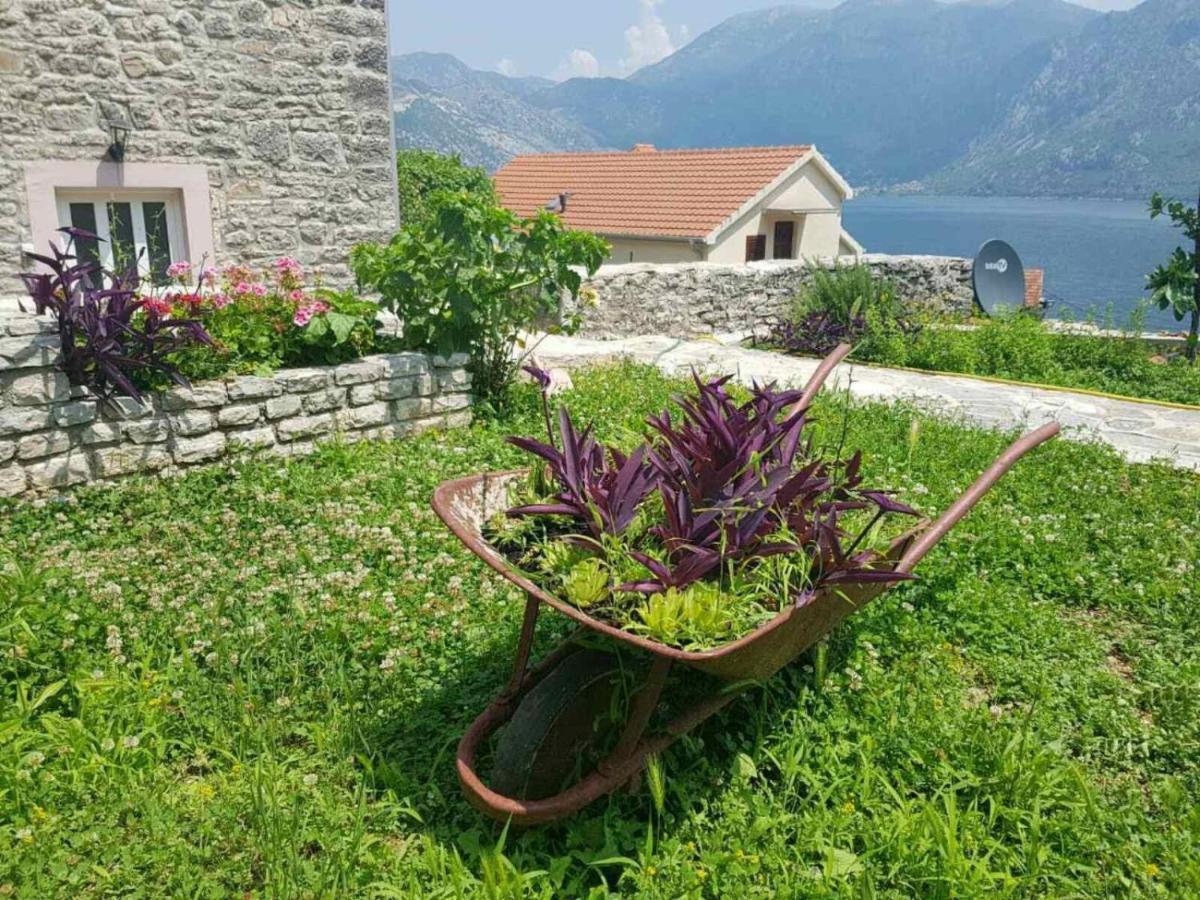Guest House Maza Kotor Exteriér fotografie