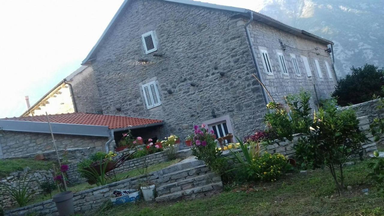 Guest House Maza Kotor Exteriér fotografie
