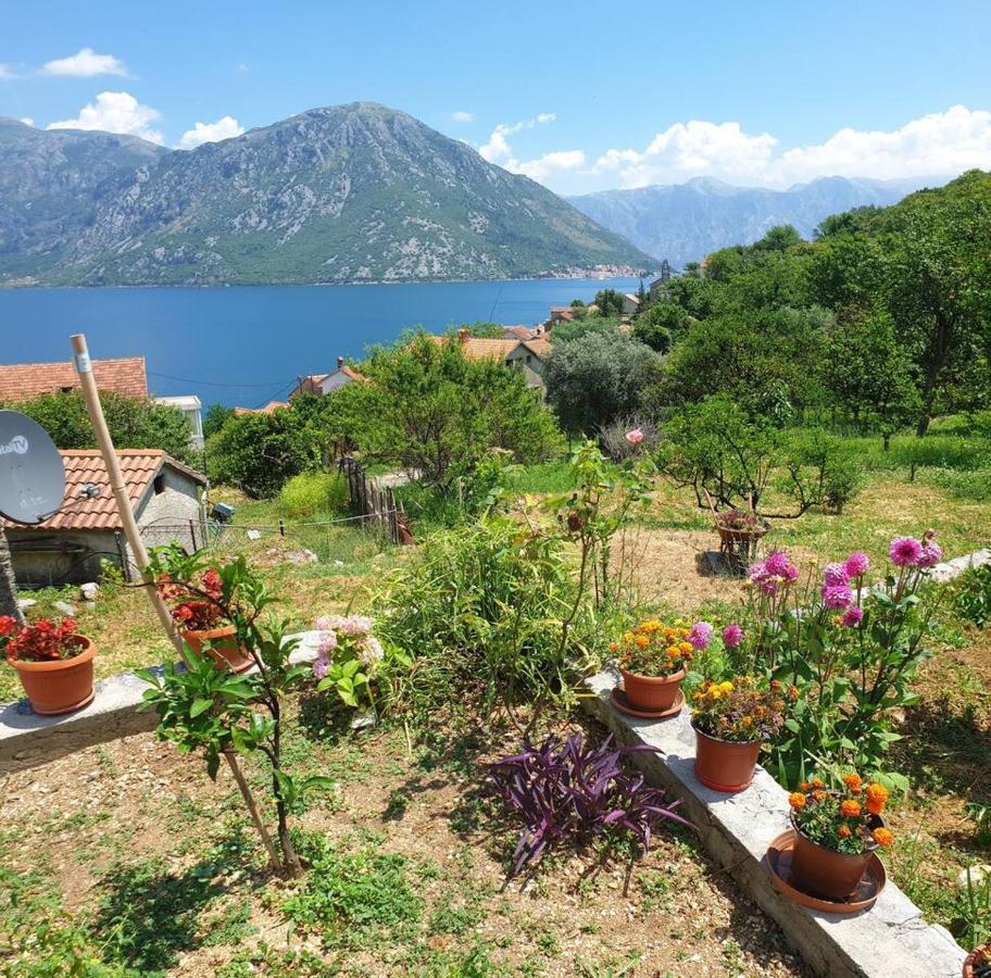 Guest House Maza Kotor Exteriér fotografie