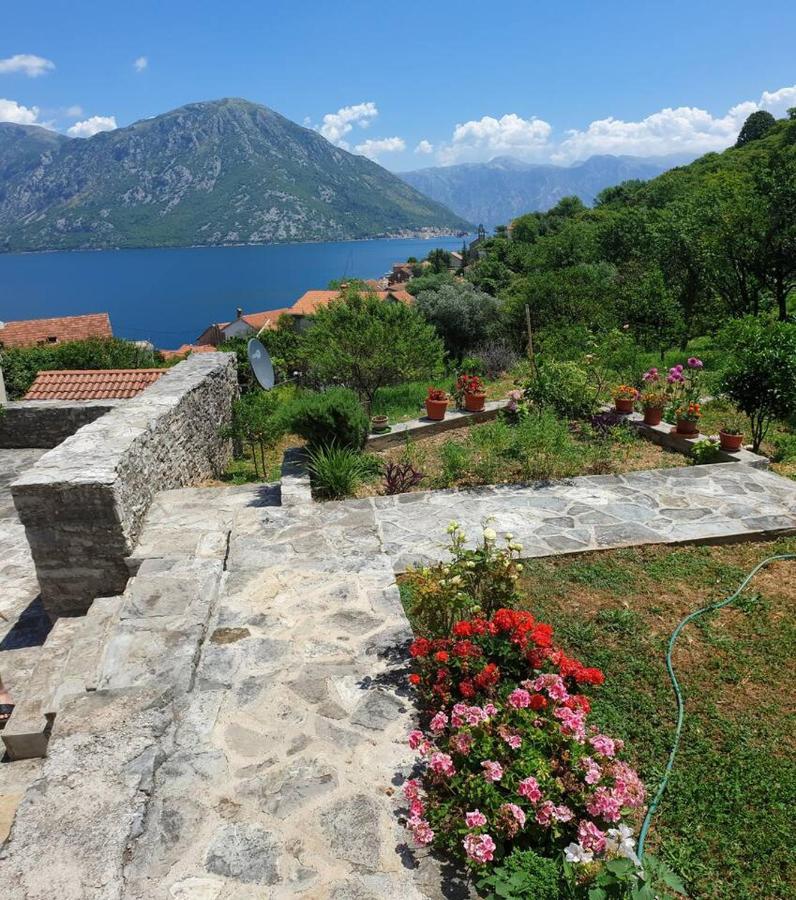 Guest House Maza Kotor Exteriér fotografie