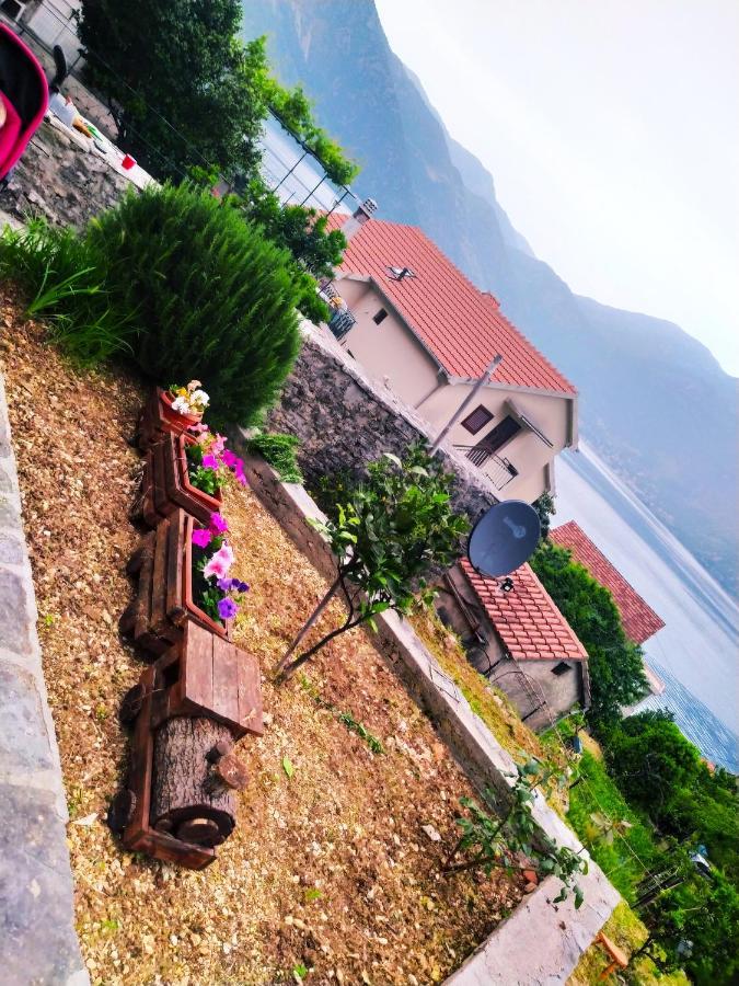Guest House Maza Kotor Exteriér fotografie